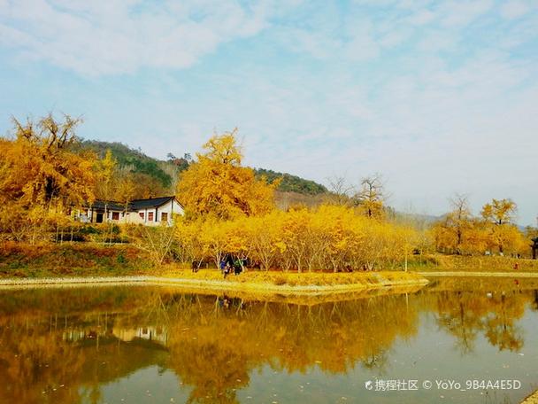 破解金色冷笑：深度游戏攻略与策略分析