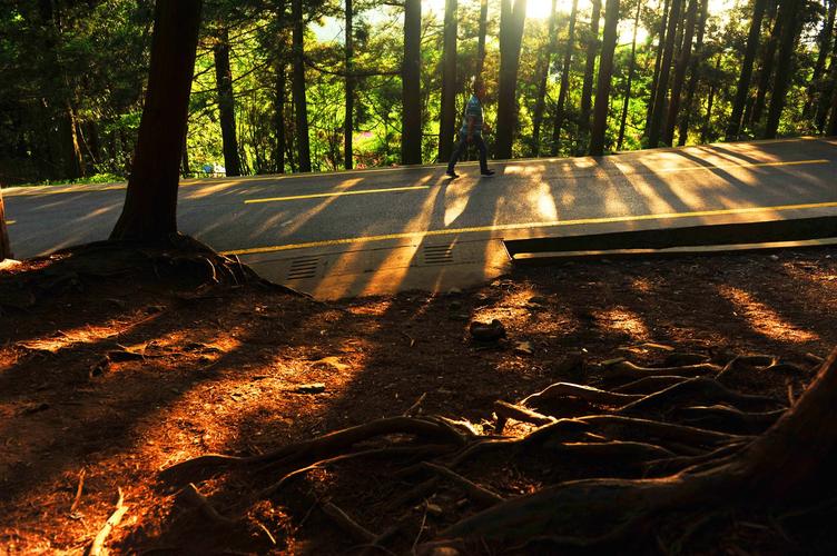 LOOKhac2杨过游戏全攻略：从入门到精通的详细教程