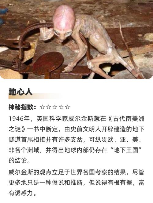 探索未知生物的边界：捕获未知生物游戏攻略