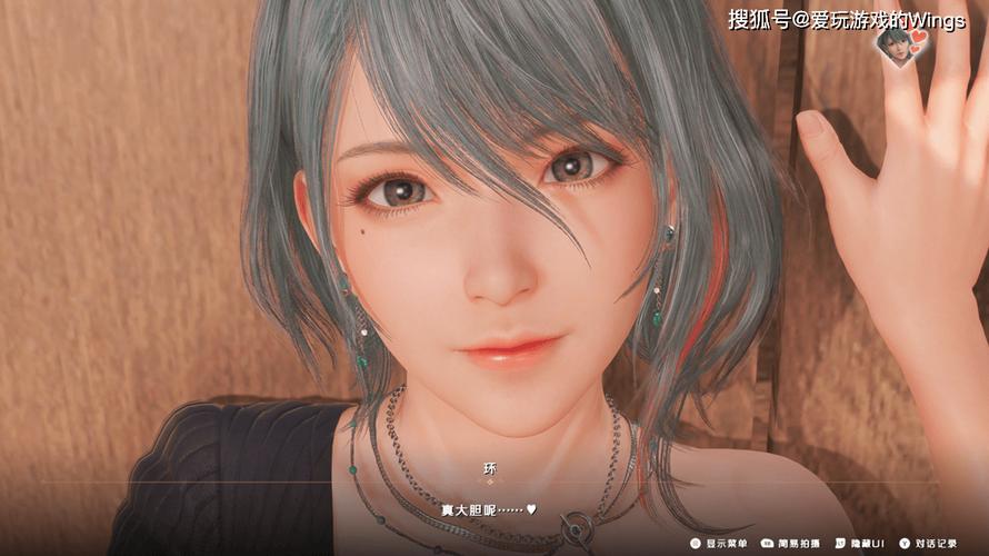 维纳斯璀璨假期汉化版下载的深度分析与市场前景