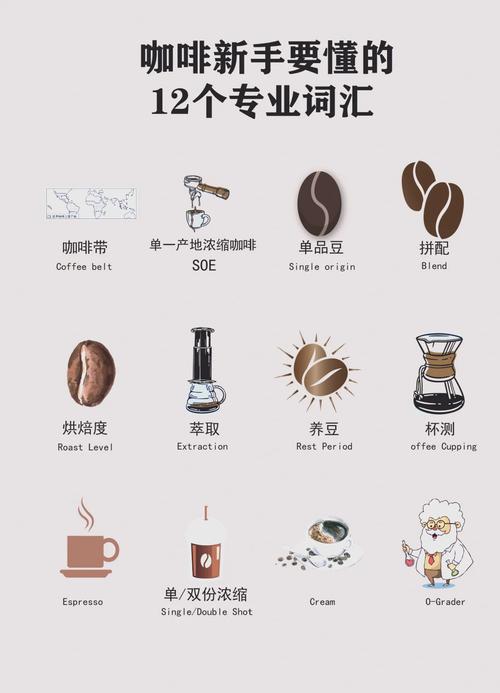 深入分析：女牛仔咖啡馆汉化版最新更新内容