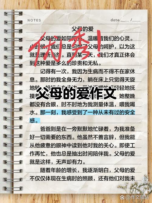 如何查找“父母的爱”最新版本及其更新教程