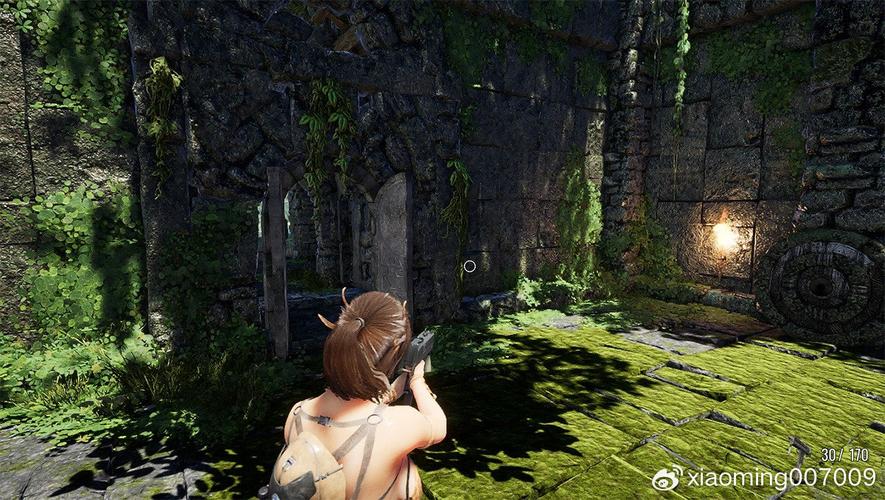 阳光下的野兽游戏攻略：新手必备详细指南