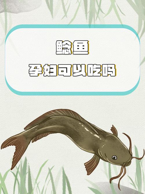 亚马逊鲶鱼游戏攻略：新手指南与实用技巧