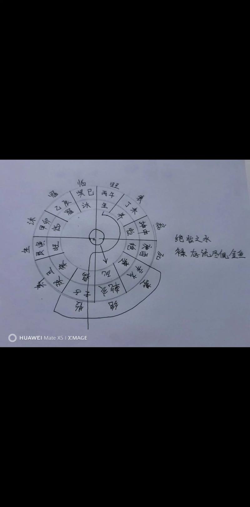 如何高效利用命运之墓官网进行游戏攻略