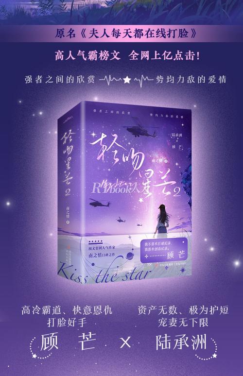 《应为我爱她2》安卓汉化的深度分析与前景展望