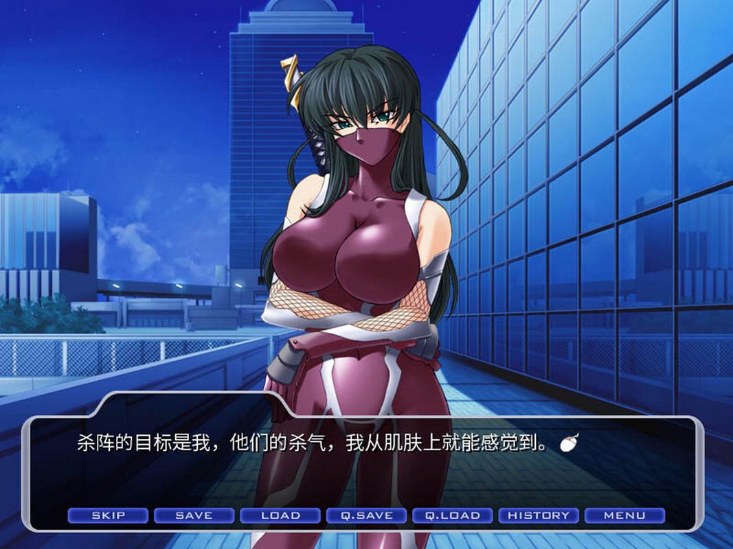 对魔忍阿莎姬版本大全：新手实用教程