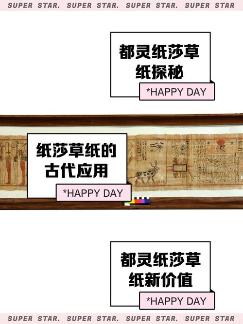 少女莎草纸官网使用全攻略：新手必读教程