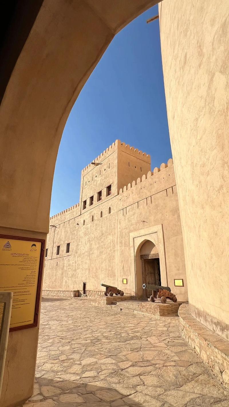 瓦尼亚的城堡最新版本深度分析：探索新机制与策略