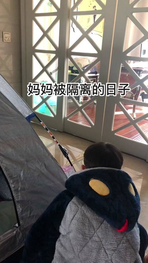 与妈妈一起隔离更新地址：探讨家庭互动中的游戏文化