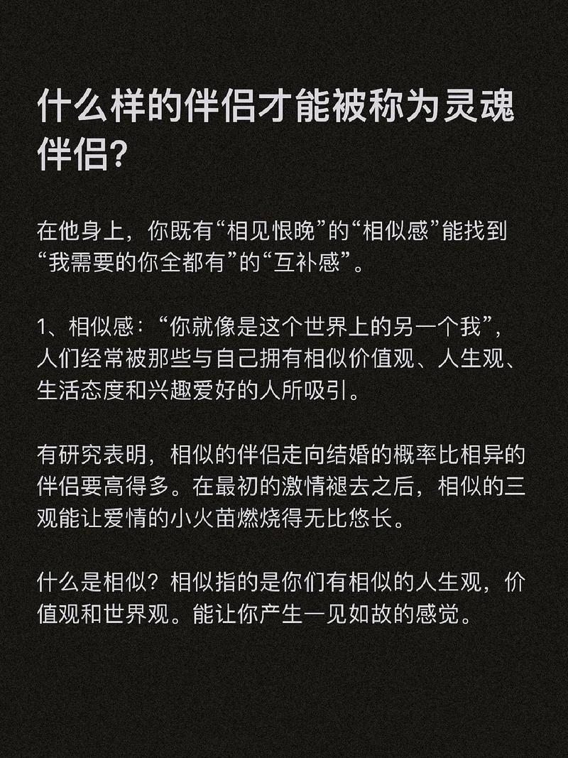 灵魂伴侣最新版本实用教程：从安装到高级玩法全攻略