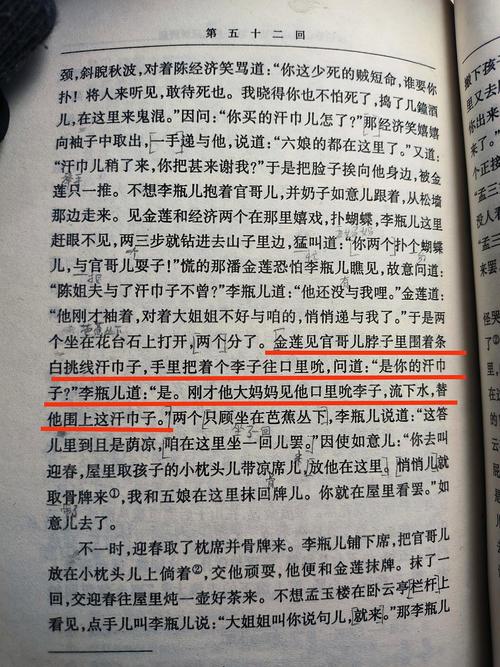 捱光：金瓶梅更新日志深度分析与玩家前景展望