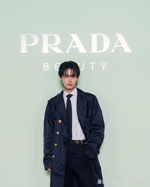 明星代言人绅士游戏营销教程:提升品牌吸引力的实用指南