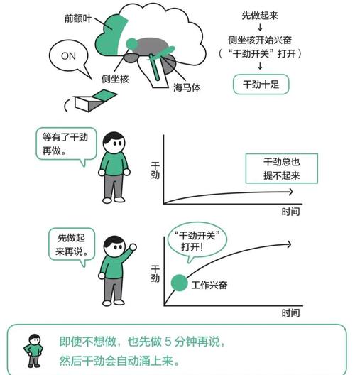 如何有效使用生命的回报官网进行游戏攻略