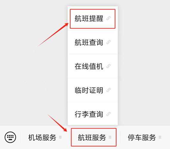 如何查询航空公司的最新版本信息：实用教程