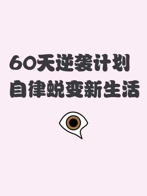 新生活计划最新版本获取及使用全面教程