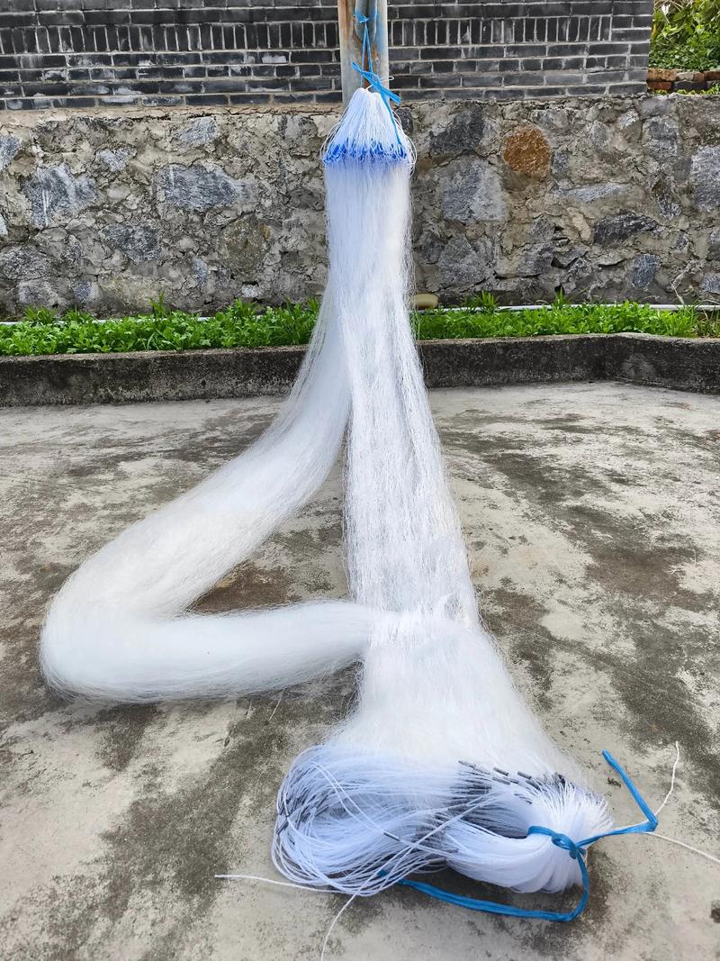 渔网亡灵最新版本实用教程：从入门到精通