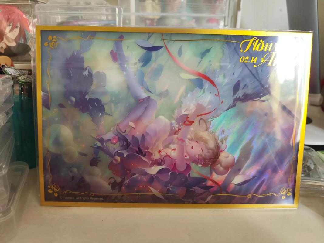 解析Fate DS安卓汉化：魅力与挑战并存的游戏之旅