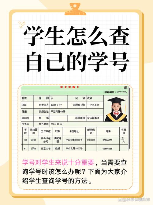 女学生鉴别学官网的深度解析与应用