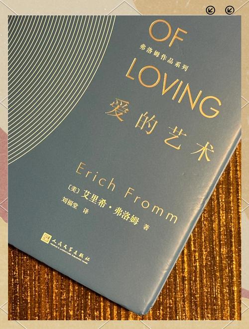 外交与爱的艺术：游戏攻略深度解析