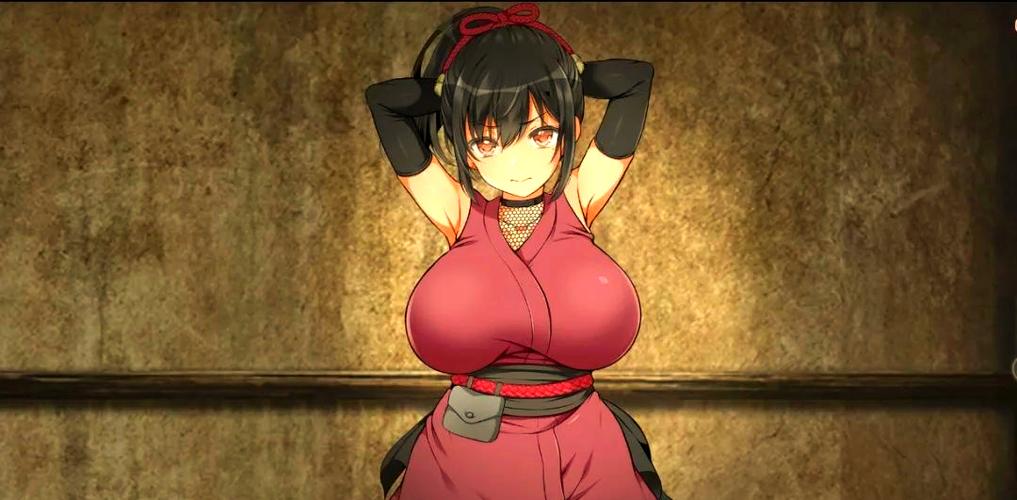 深入探究：女忍者训练师游戏攻略的专业分析