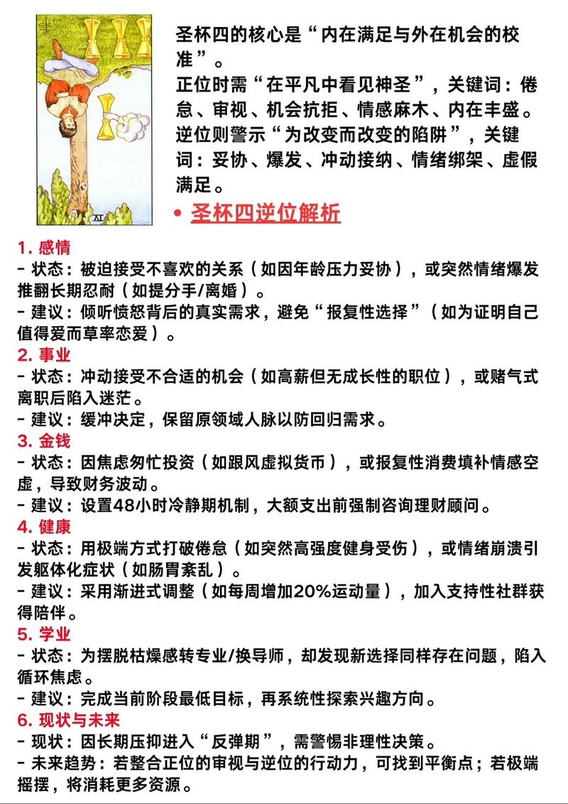 如何高效使用圣塔县的生活官方网站：详细教程