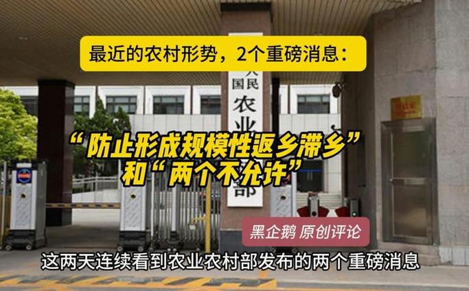 返回农村2更新日志详细教程：轻松掌握每次更新