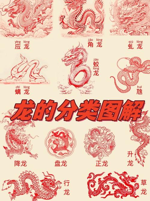 如何找到并下载《龙的征服》更新地址：实用教程