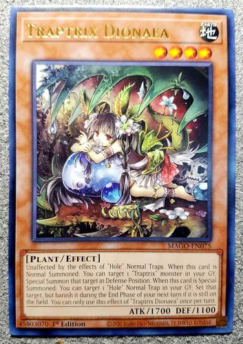 深入解析《封闭区域Z汉化版》最新更新内容及其影响