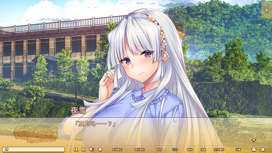 甜蜜夏日安卓游戏安装与玩法全攻略