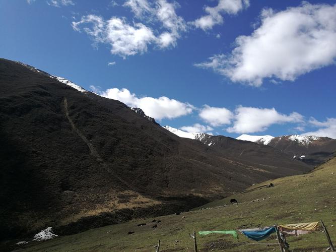 探索简单的日子官网在绅士游戏领域的潜力与前景