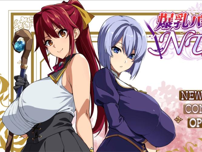 弘树NTR最新版本使用教程：新手必看