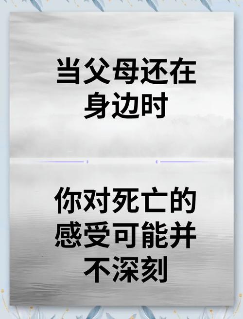父母的爱官方网站：探索情感与游戏的交融
