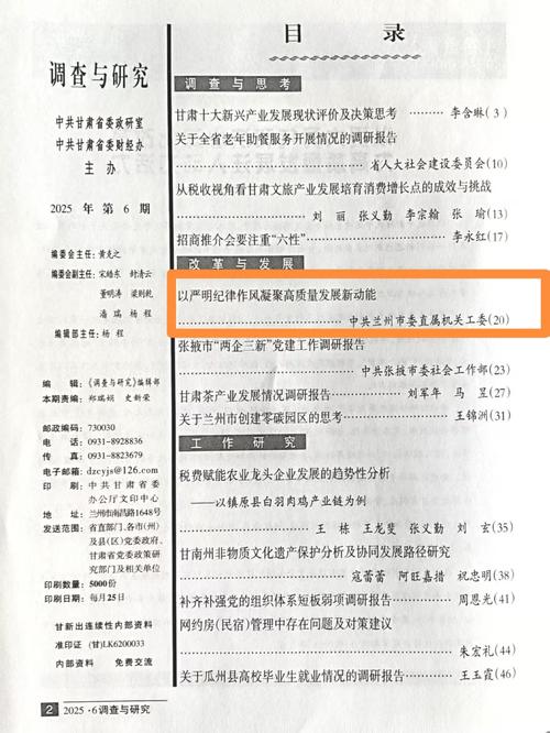 深入探讨《丽莎全面调查最新版本》的游戏机制与体验