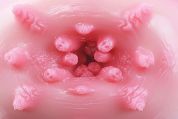 洗脑触手最新版本深度分析：技术与文化的融合