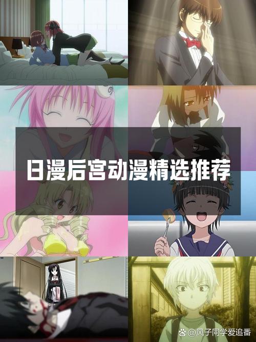 后宫岛更新日志的深度分析与未来展望