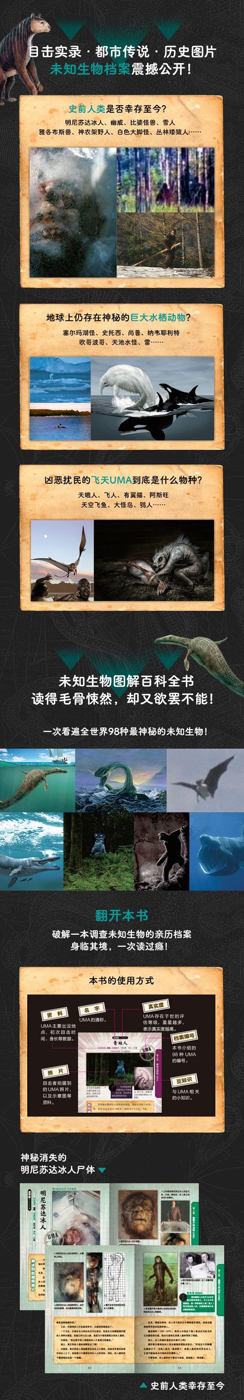 探索未知生物的魅力：安卓平台上的捕获与冒险之旅