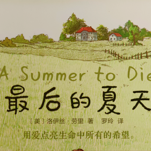 最后的夏季：新手用户完整攻略与技巧