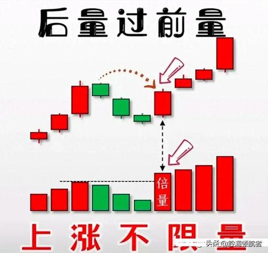 深度分析:战利品线汉化版下载的影响与前景