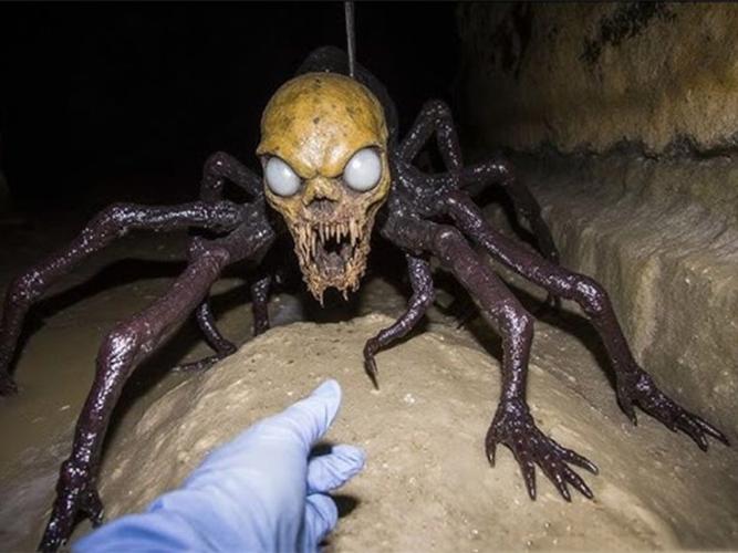 捕获未知生物更新地址分析：探索背后的技术与市场动态