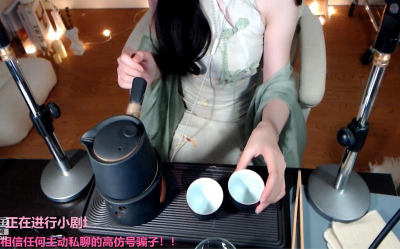 婉儿别闹游戏攻略：新手必看全面指南