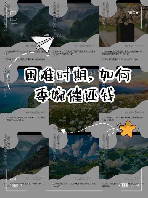 困难时期官方网站的深度分析与未来展望