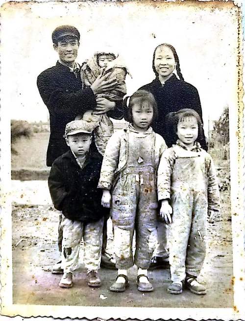 困难时期官方网站的深度分析与未来展望