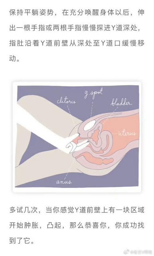 涩点点下载教程：新手必看详细步骤