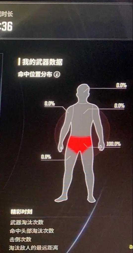 盯档猫：在绅士游戏领域的独特魅力与潜力分析