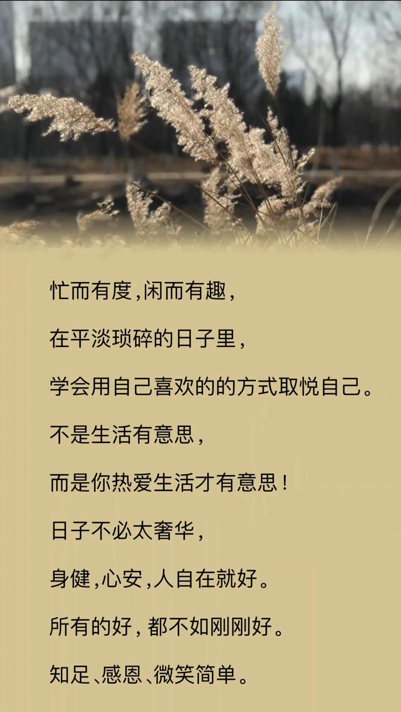 简单的日子最新版本：深度解析与未来展望