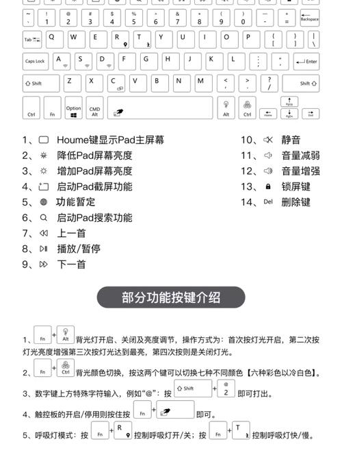 缪斯战争官网使用教程：新手快速入门指南