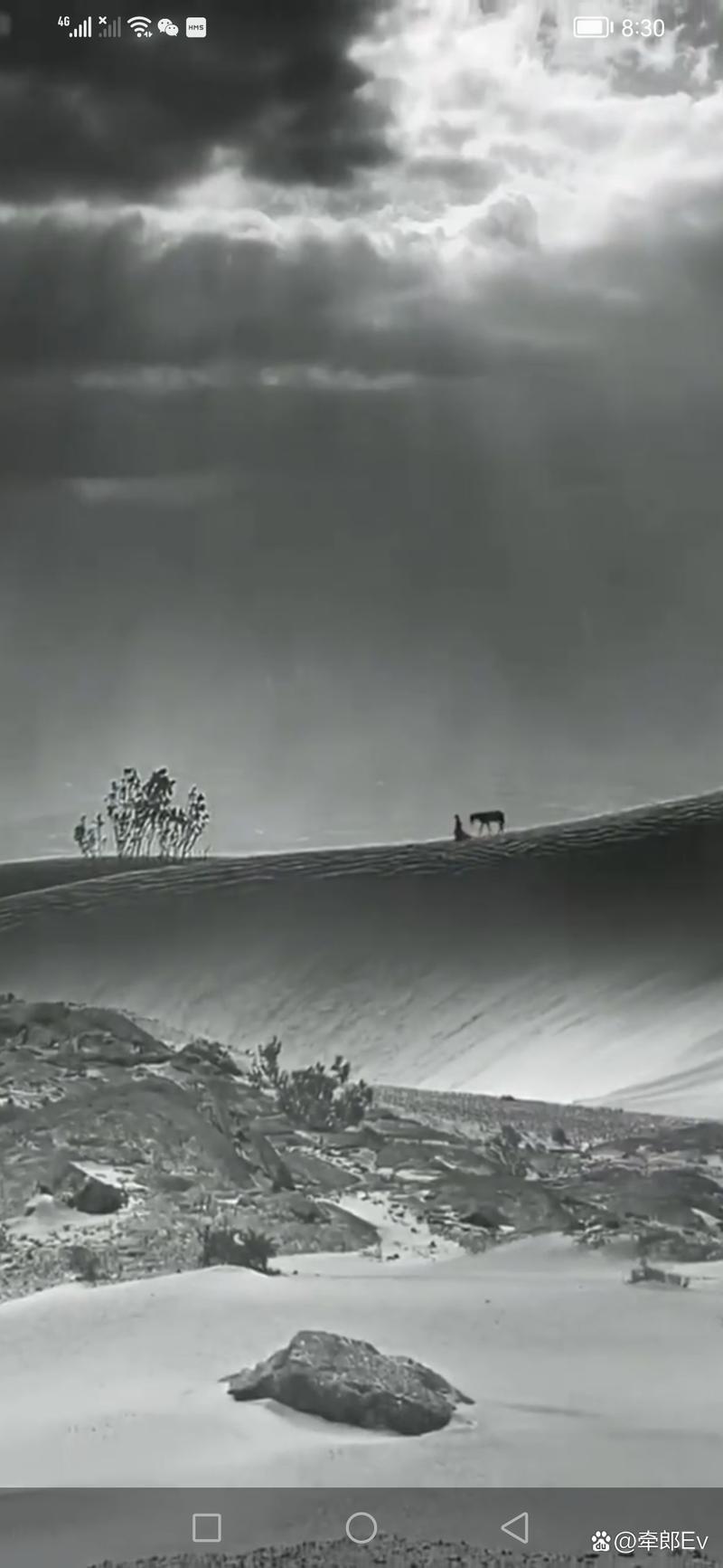 获取灰色乐园的完整下载指南