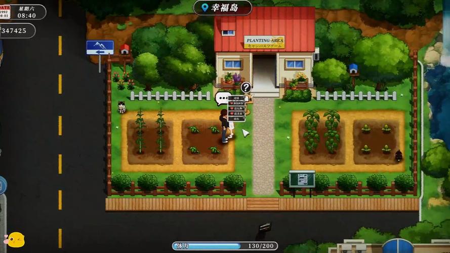 幸福岛幻想游戏入门教程：轻松打造你的梦想岛屿