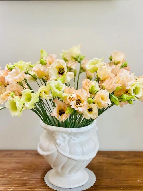 夏日芬芳官网使用教程：轻松享受游戏体验